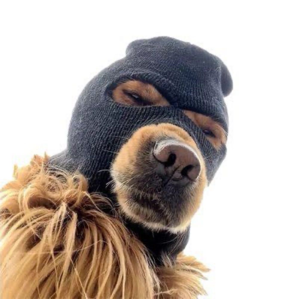 PRØTØCØL