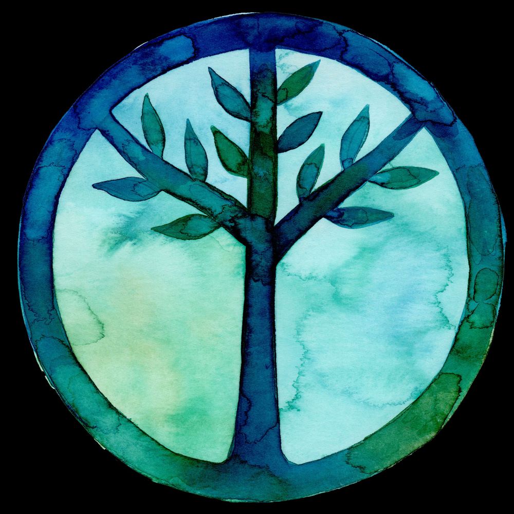 Stop Ecocide International