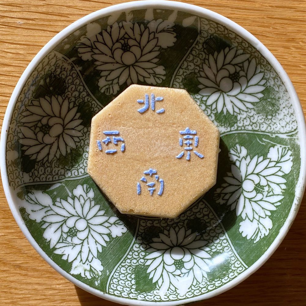 ねずみもち