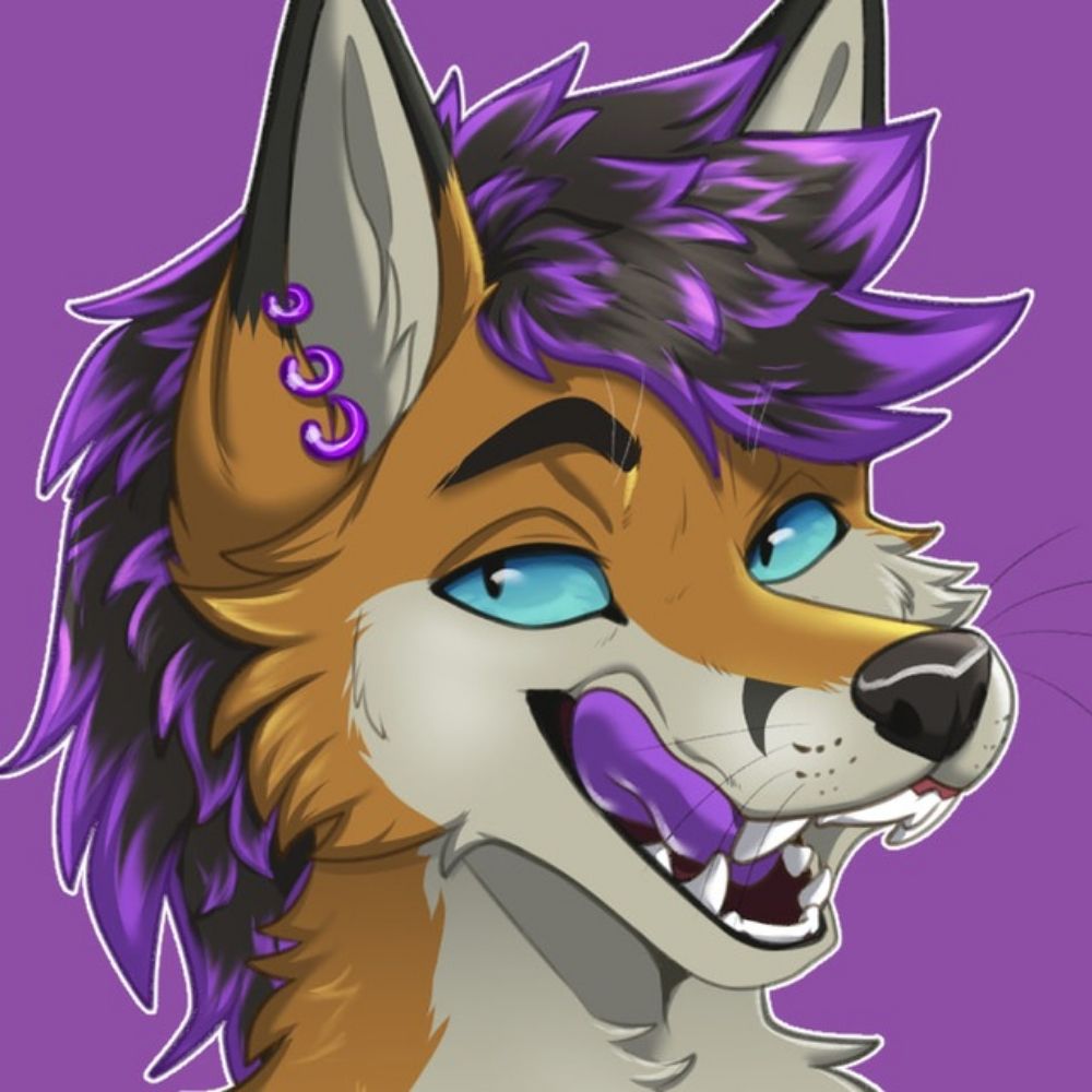 DarkFoxK1