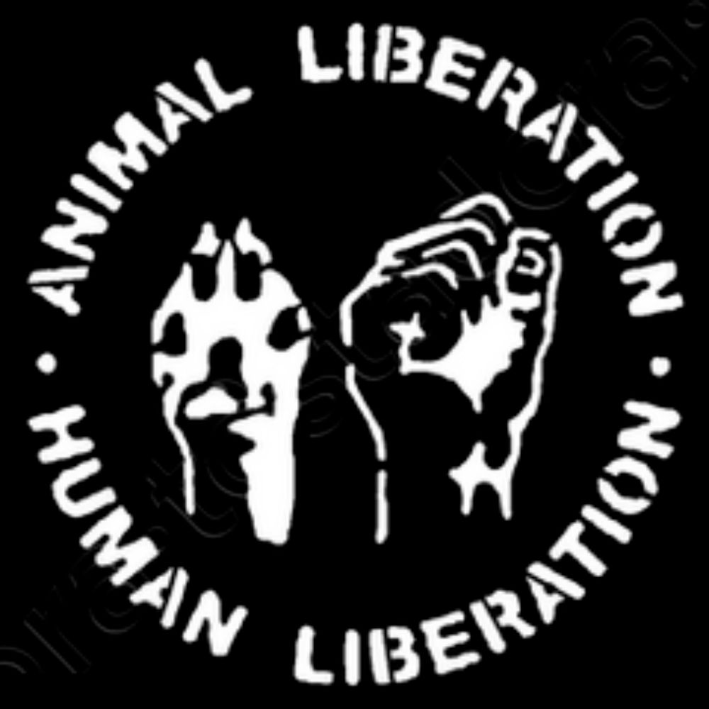 Veganarchist enby