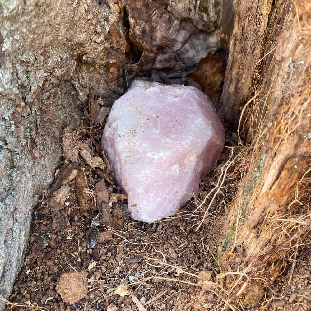 anarchobuddhist