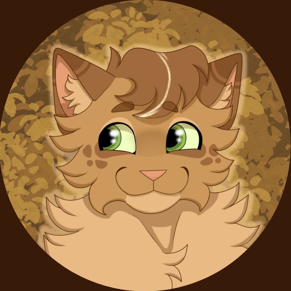 🍂 autumn 🍂