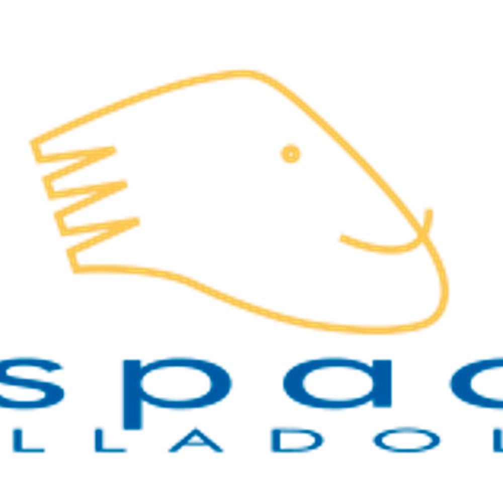 ASPACE Valladolid