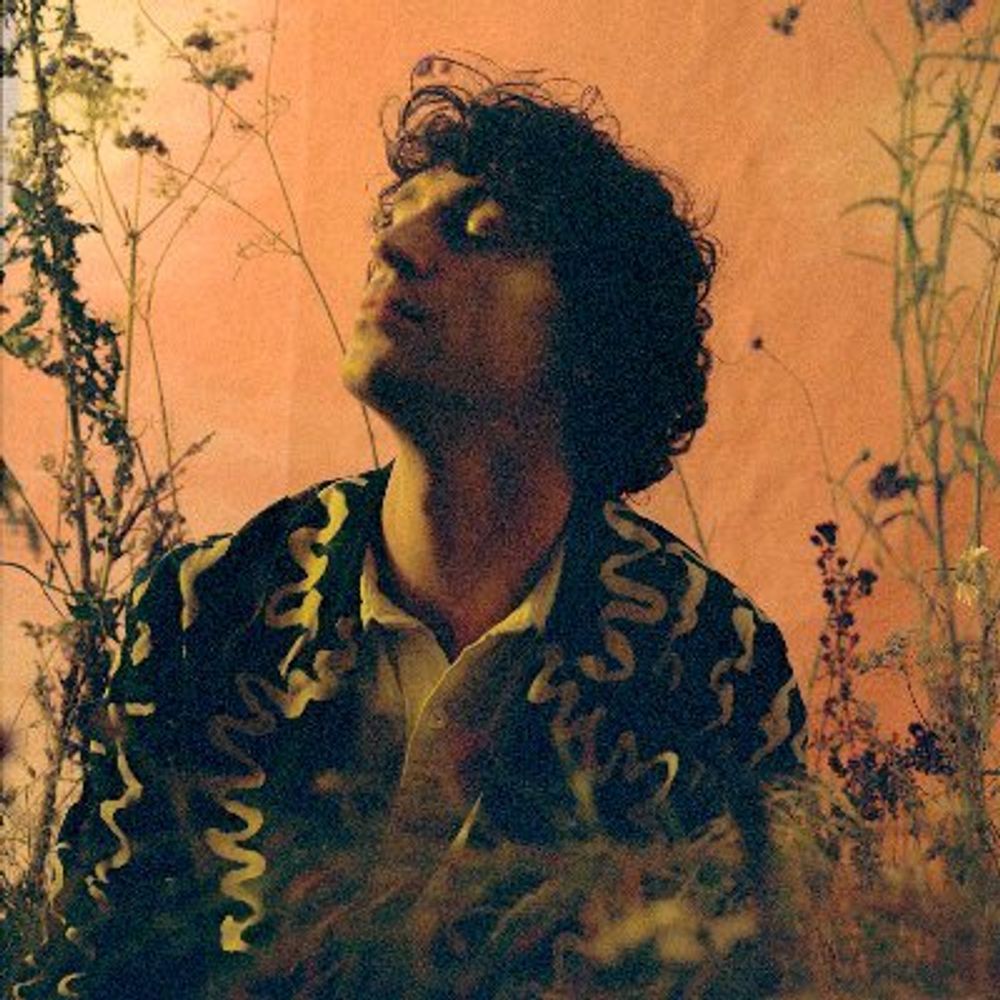 Cosmo Sheldrake