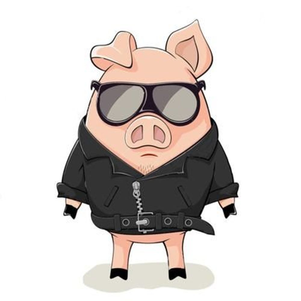 Osaba-Switch (@Switchpaypig on X)