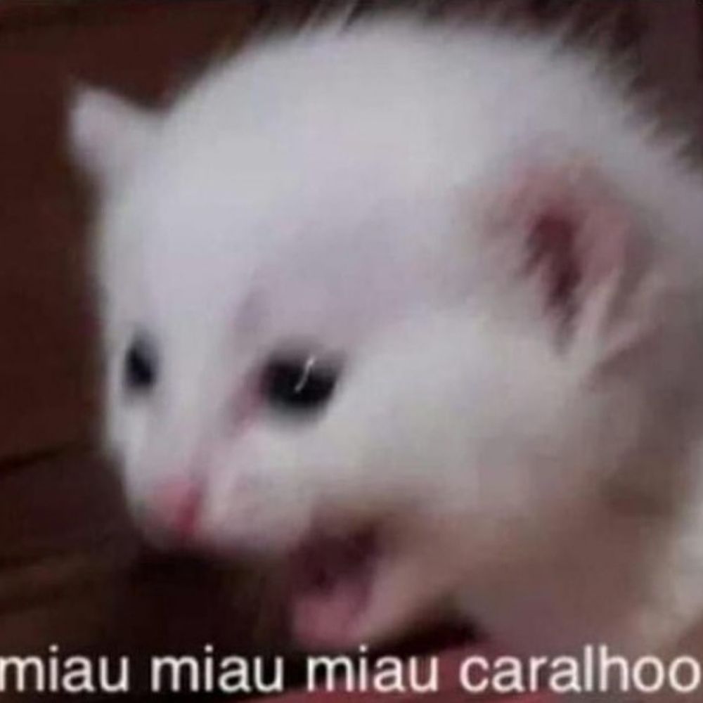 DRU para os íntimos 