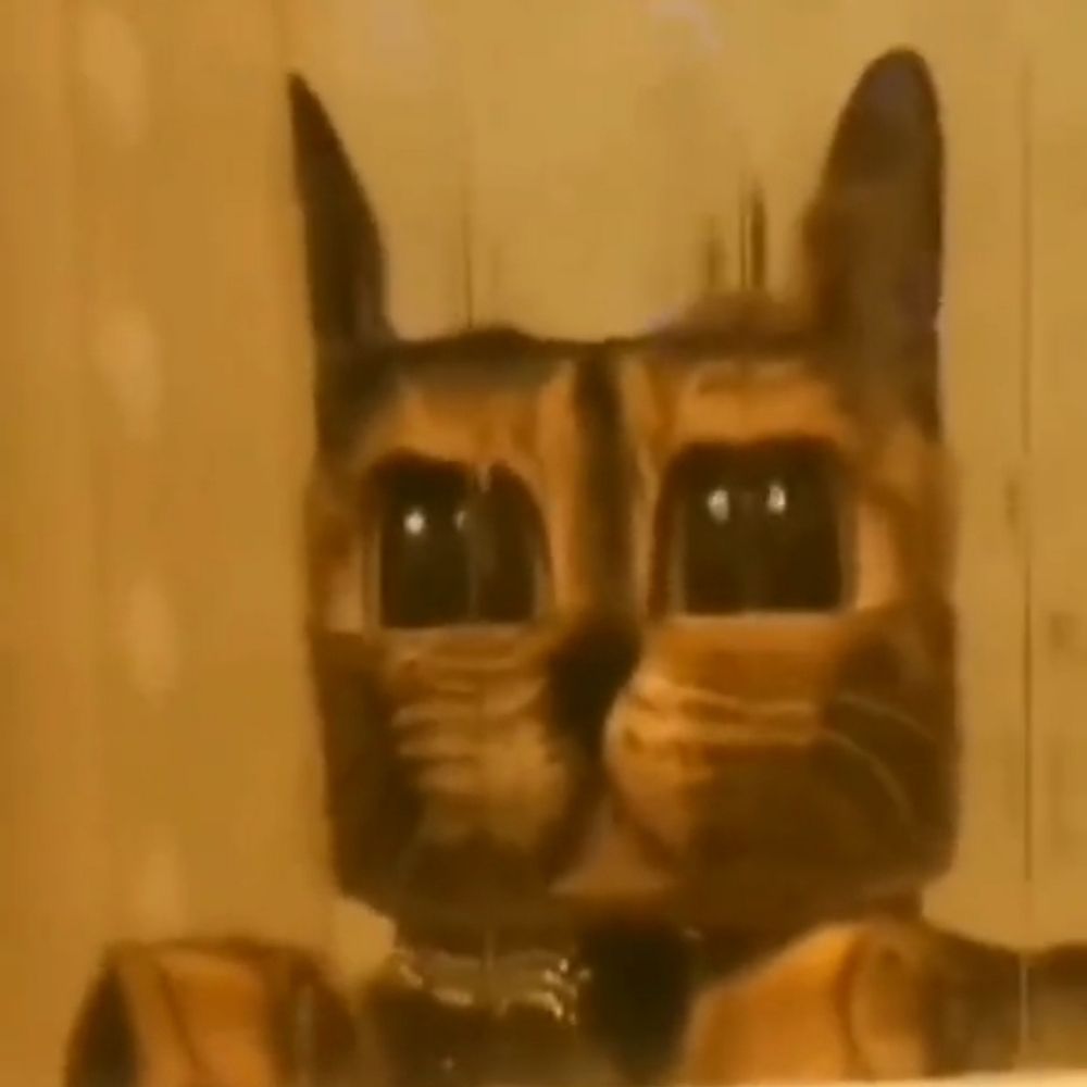 Etienne 🏳️‍🌈🌱