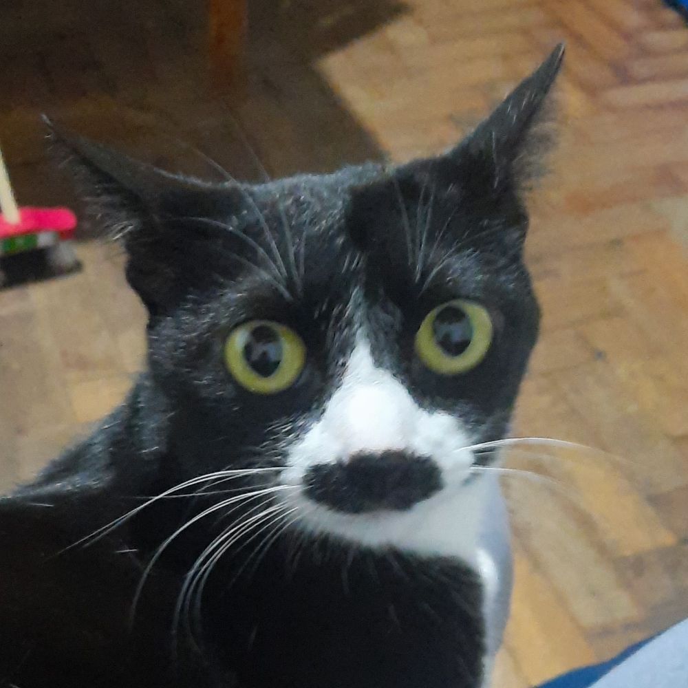 Fefgostosona