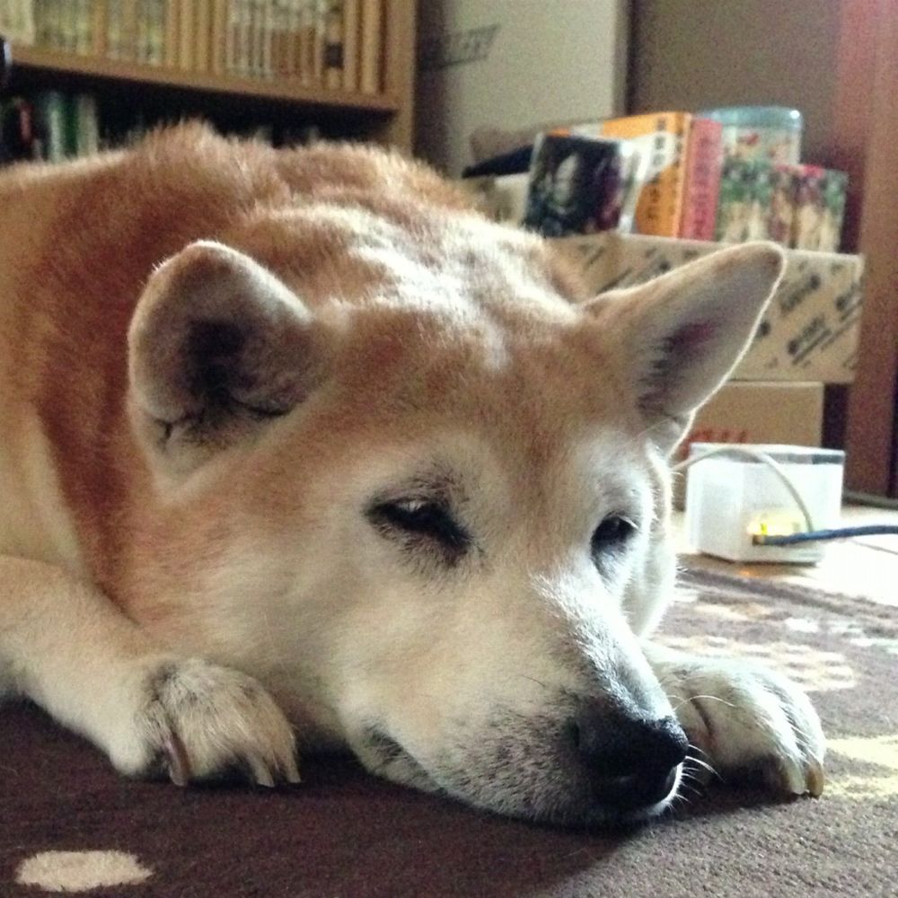 まっ