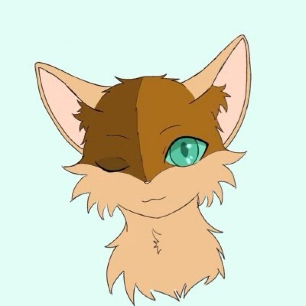 おーたむ