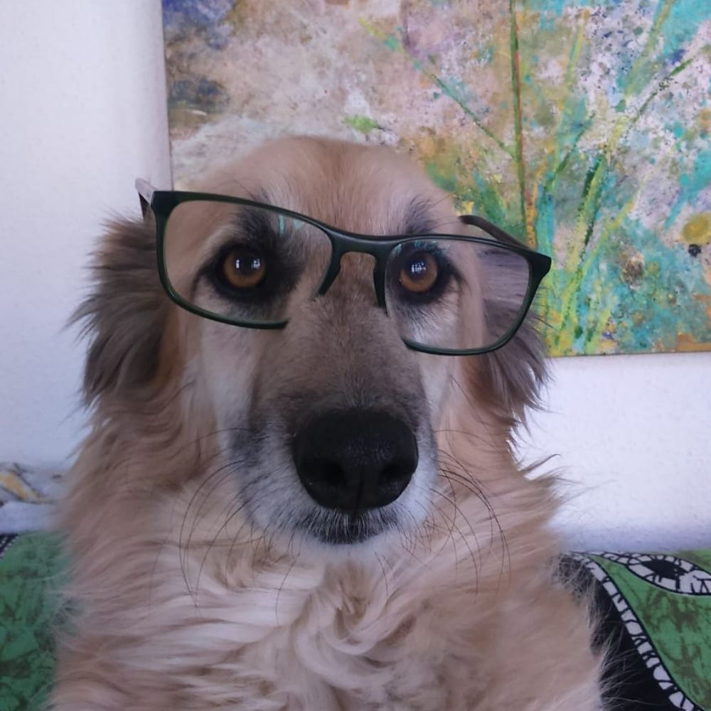 Luis