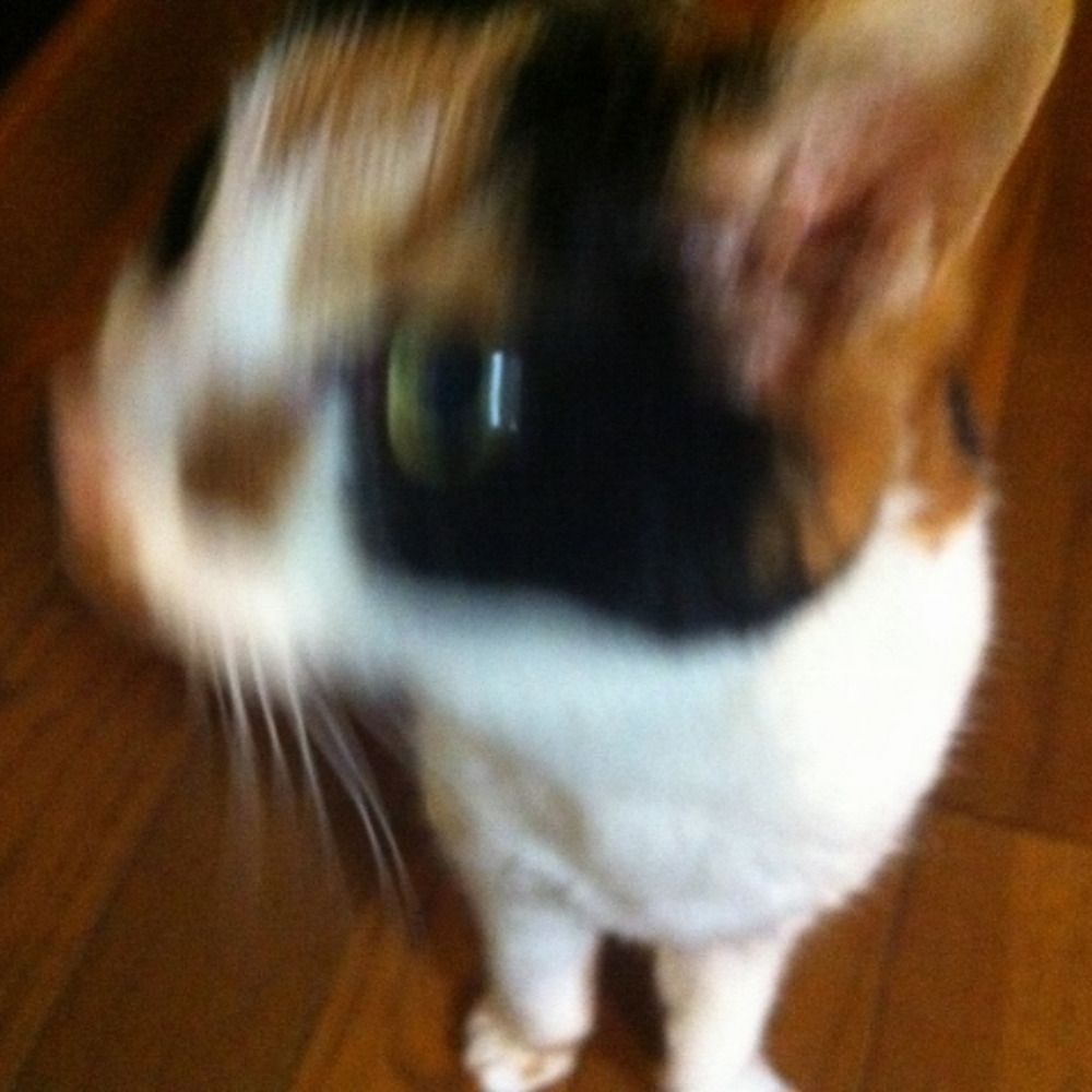 S. Higashino