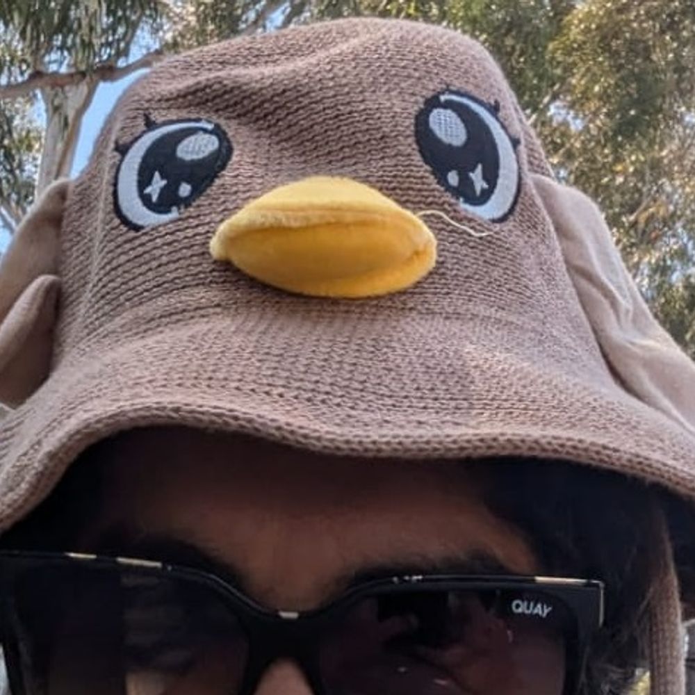 MoMoOnThinIce