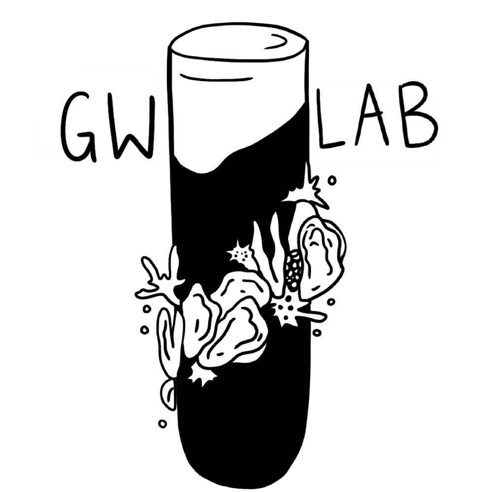 GW Lab