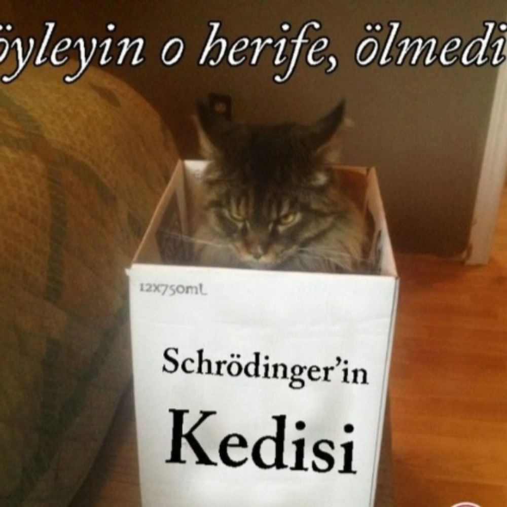 TugcErdem