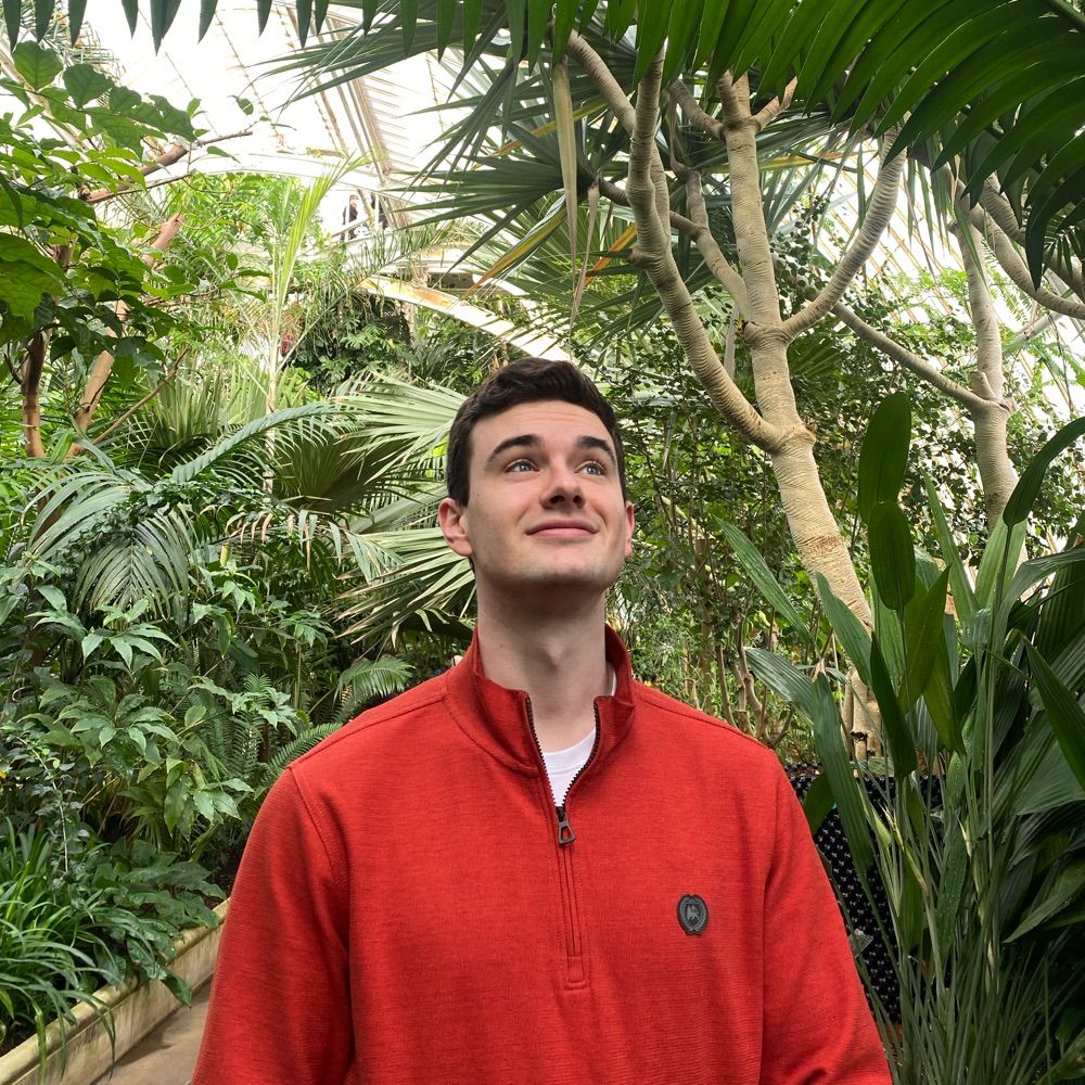 Joe