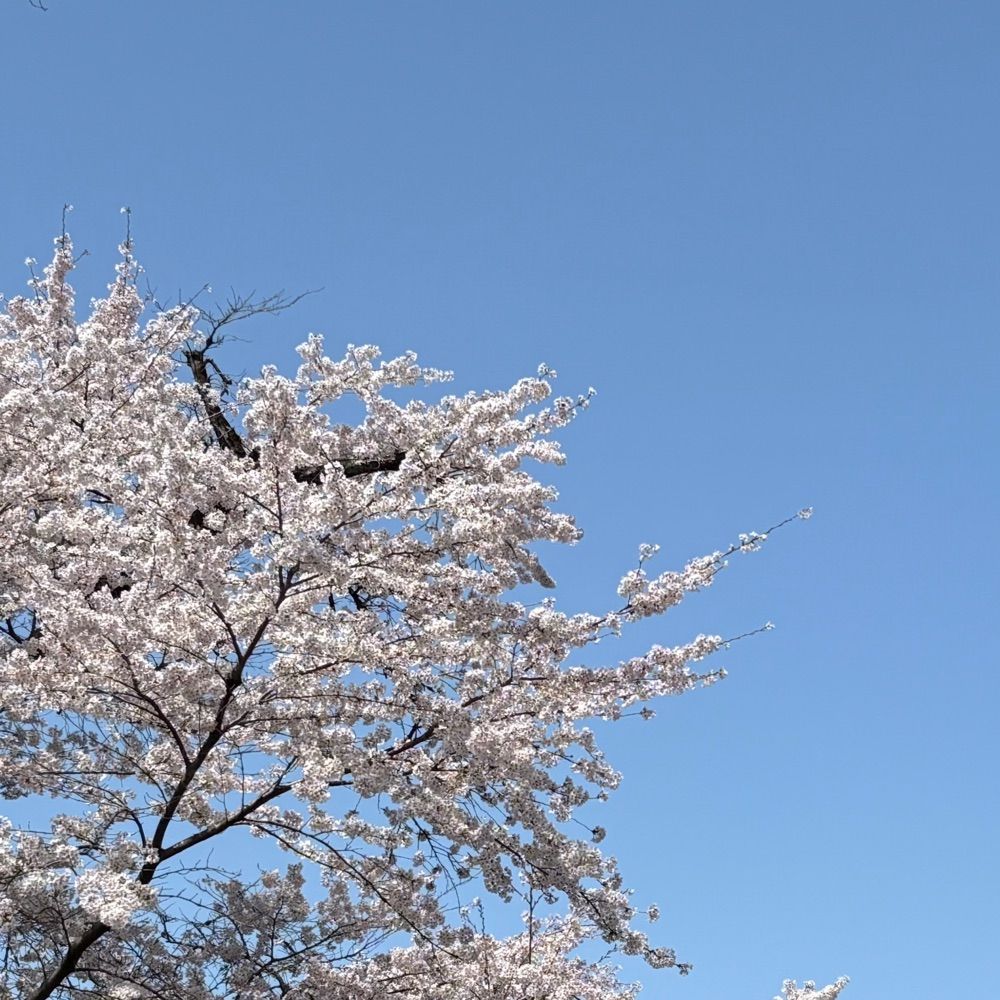 ばんけんの私生活