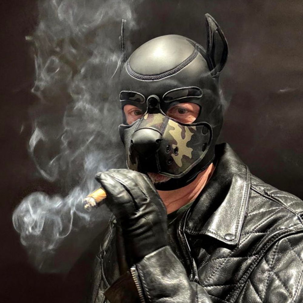 GingerCigarBear  GCB  (aka FisteeBear)