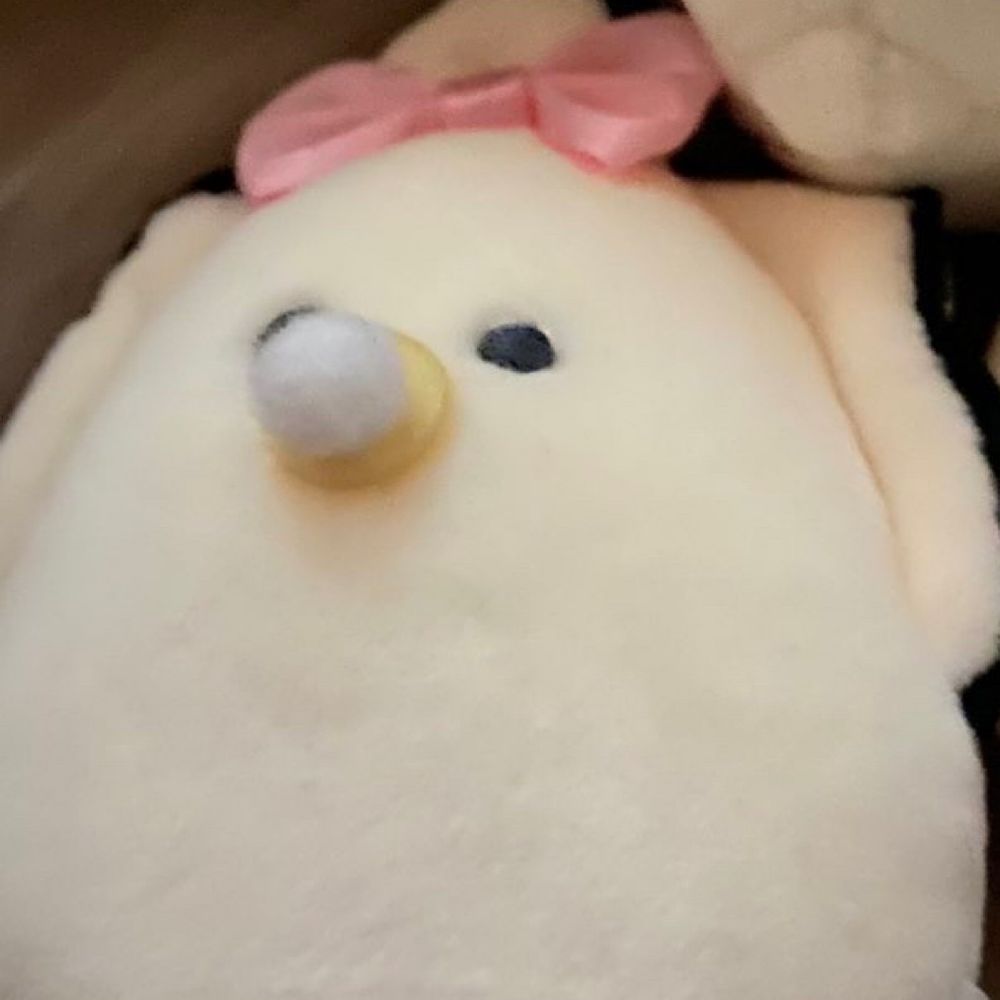 青汁珈琲