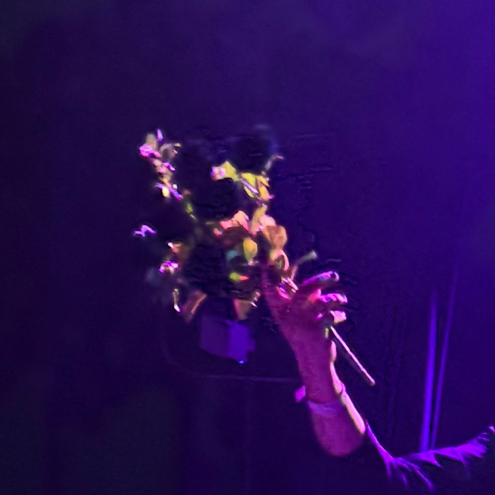 Vampire_Bassist