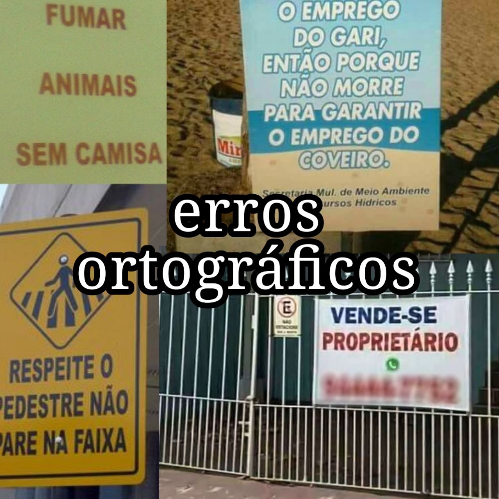 🚫 Erros ortográficos 🦋