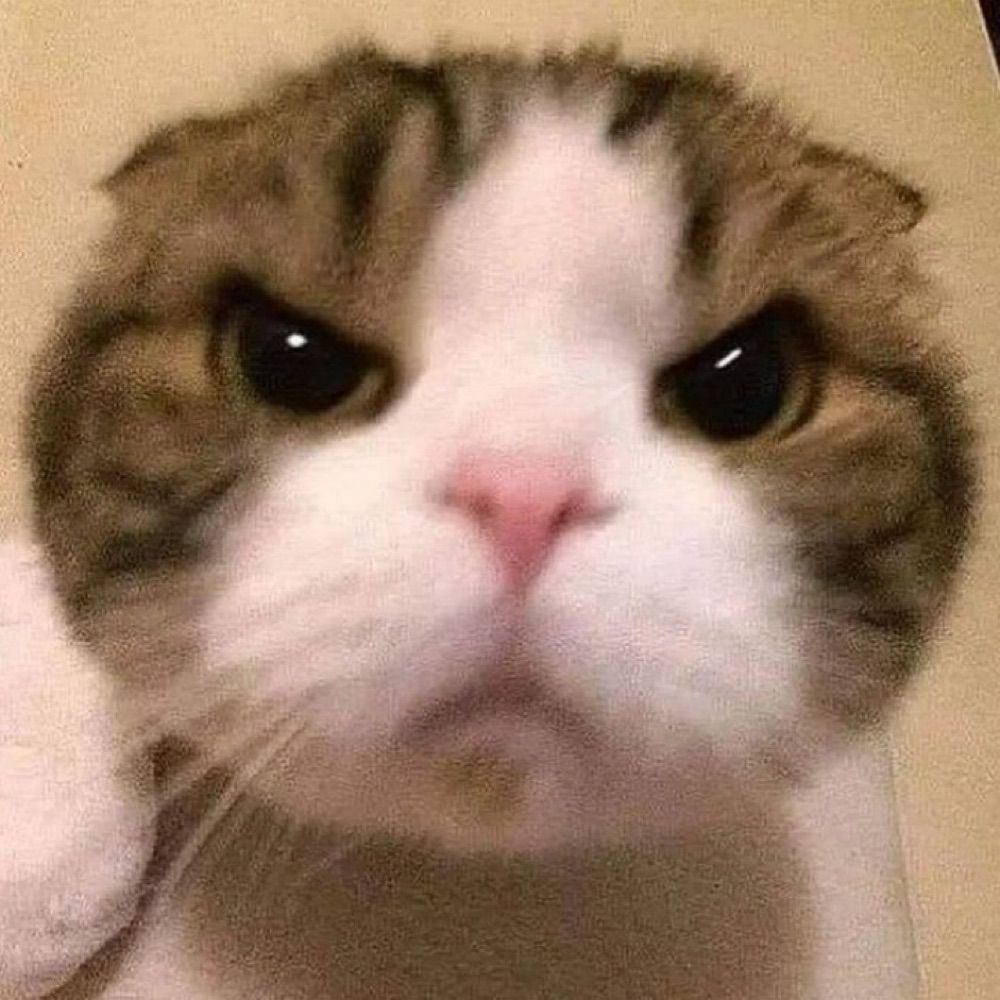 あこ