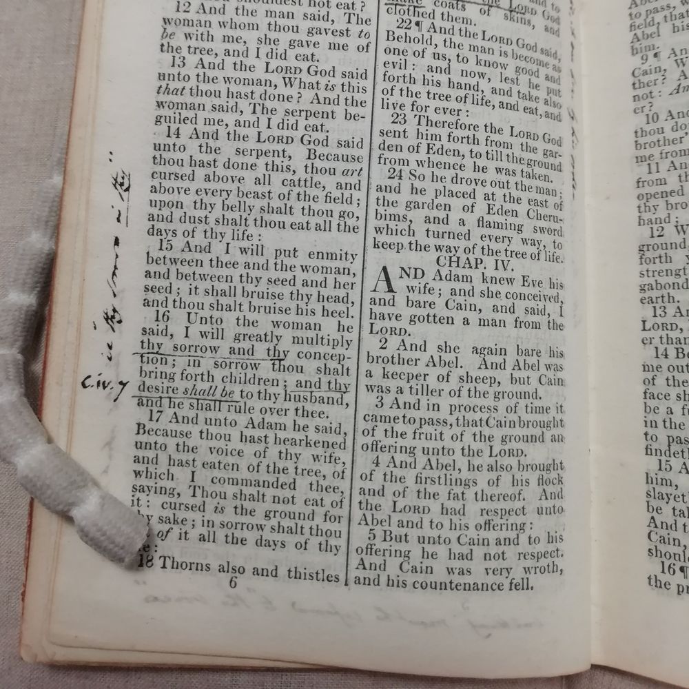 The Future of Research in Bible Society Collections