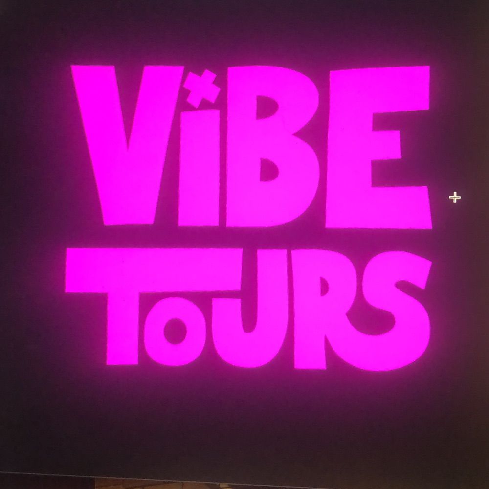 Vibe NYC Tours, Come Catch the Vibe