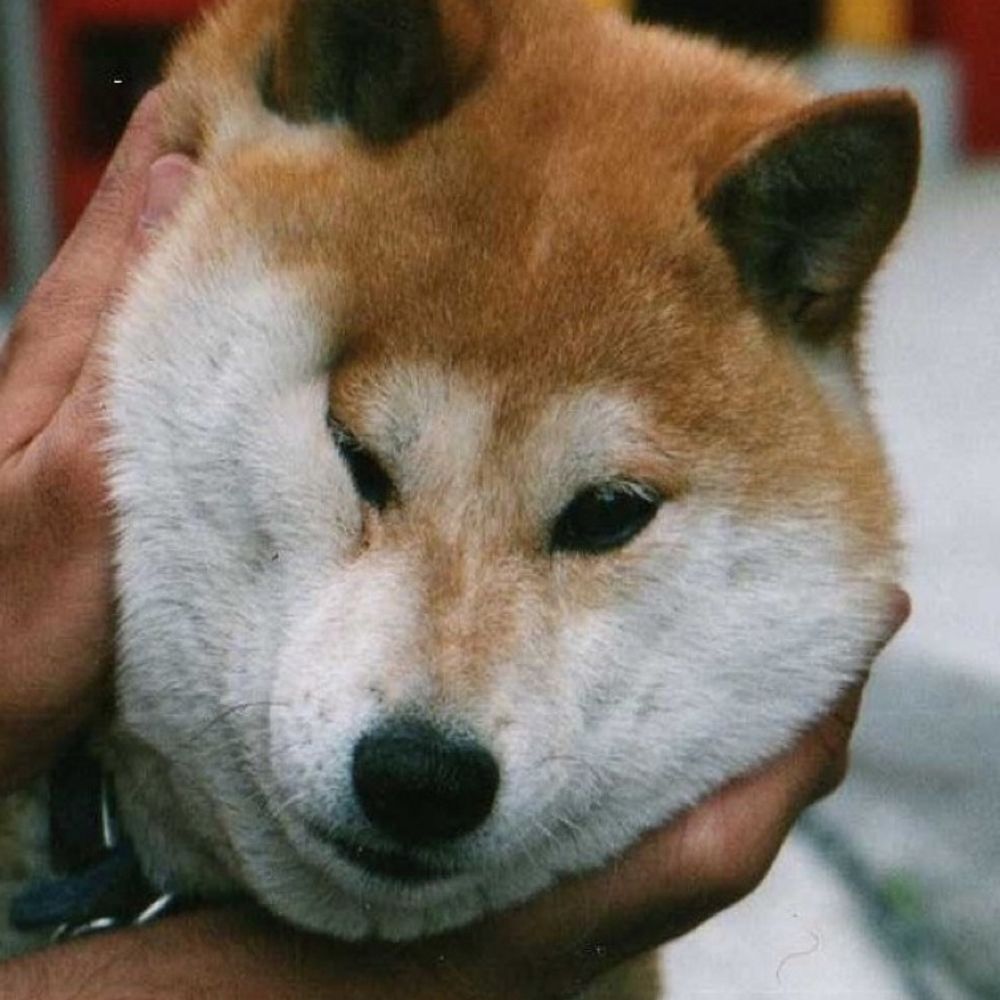 藤田 浩之