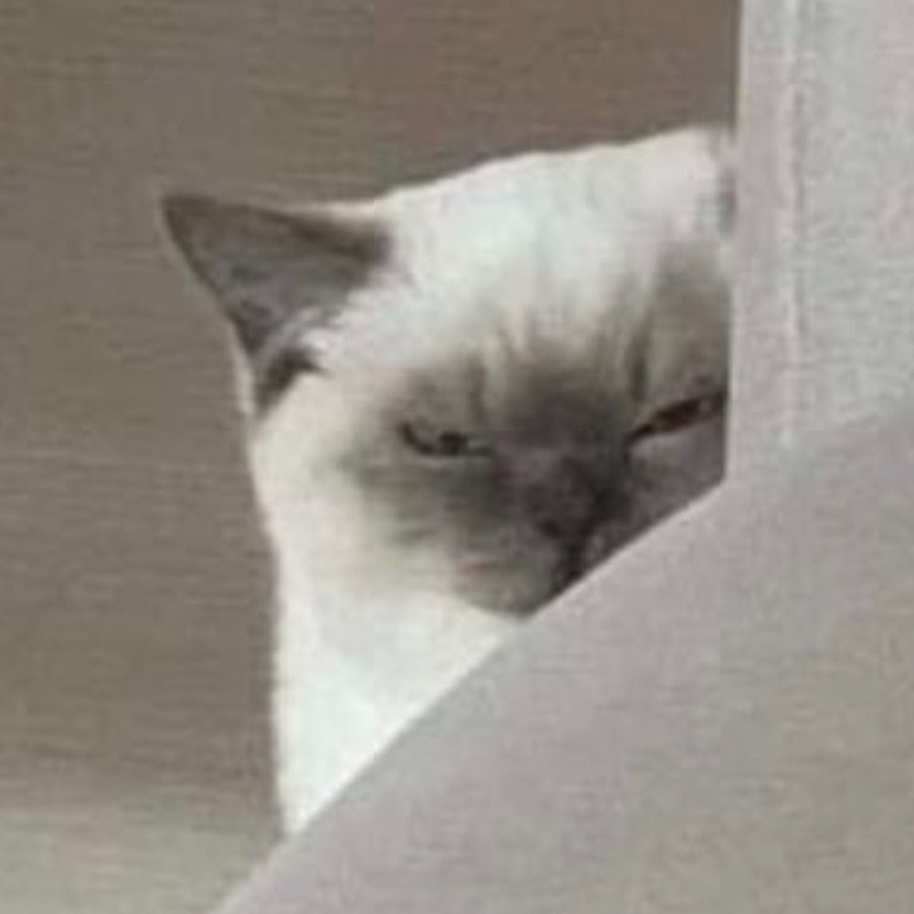 周周