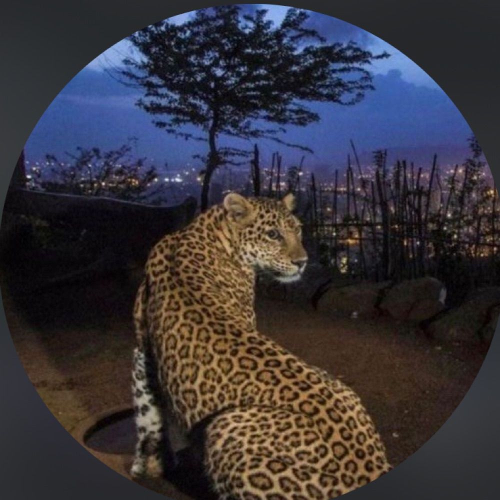 iam blessed 🐆