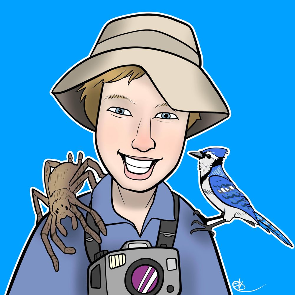 Jen Cross's avatar