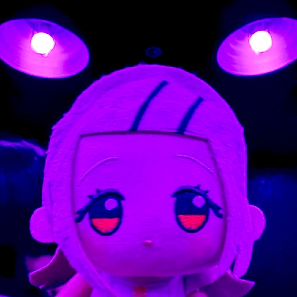 まよたぬ