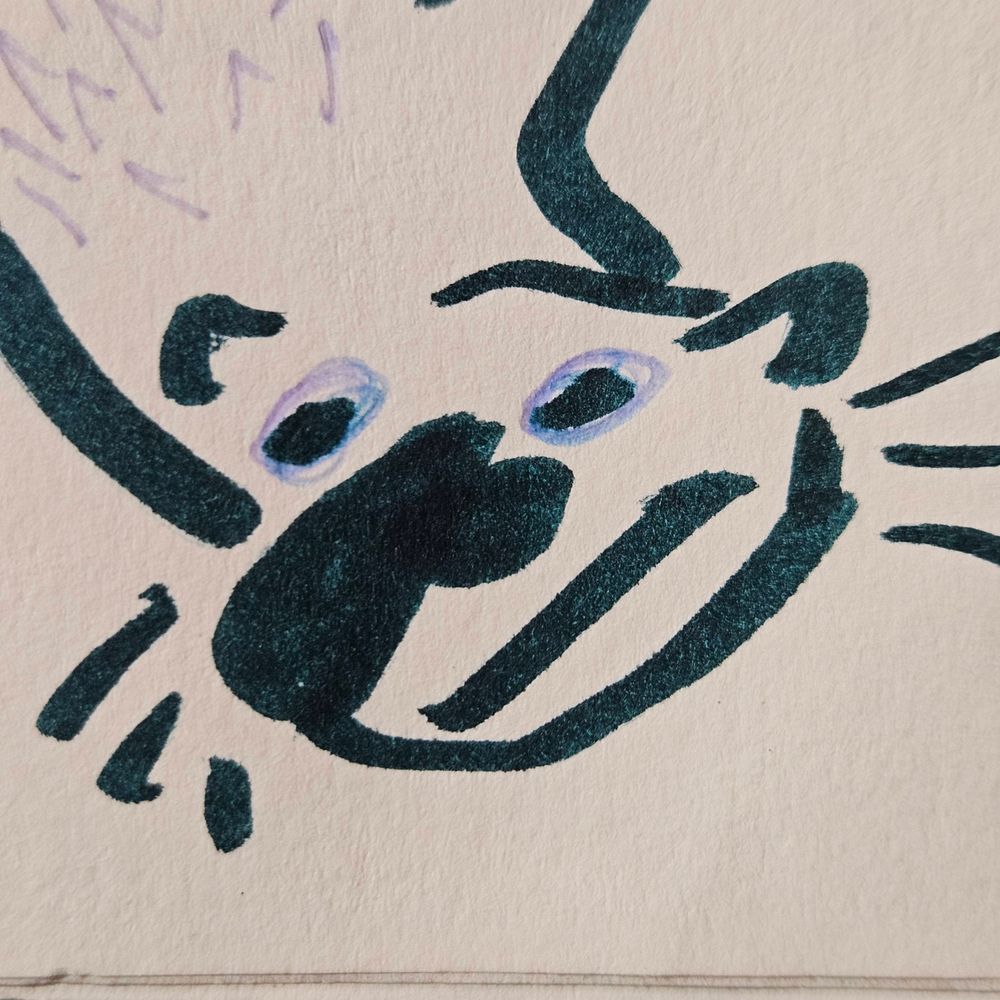 dirty water dog