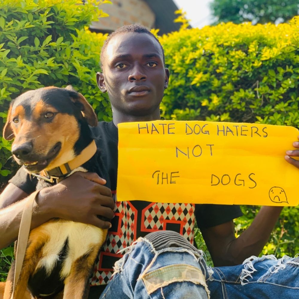 Joseph_dogs_shelter