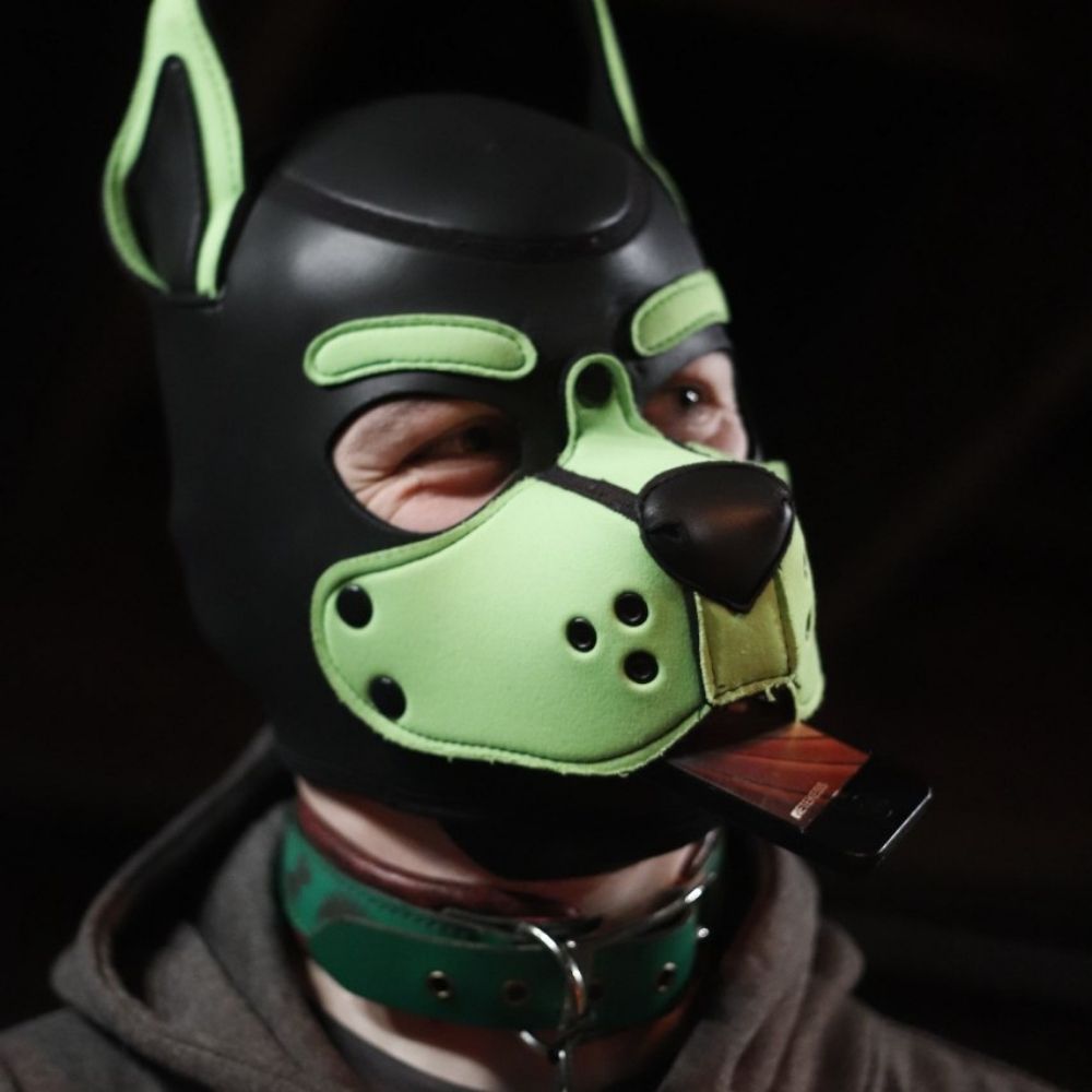 Trouble pup
