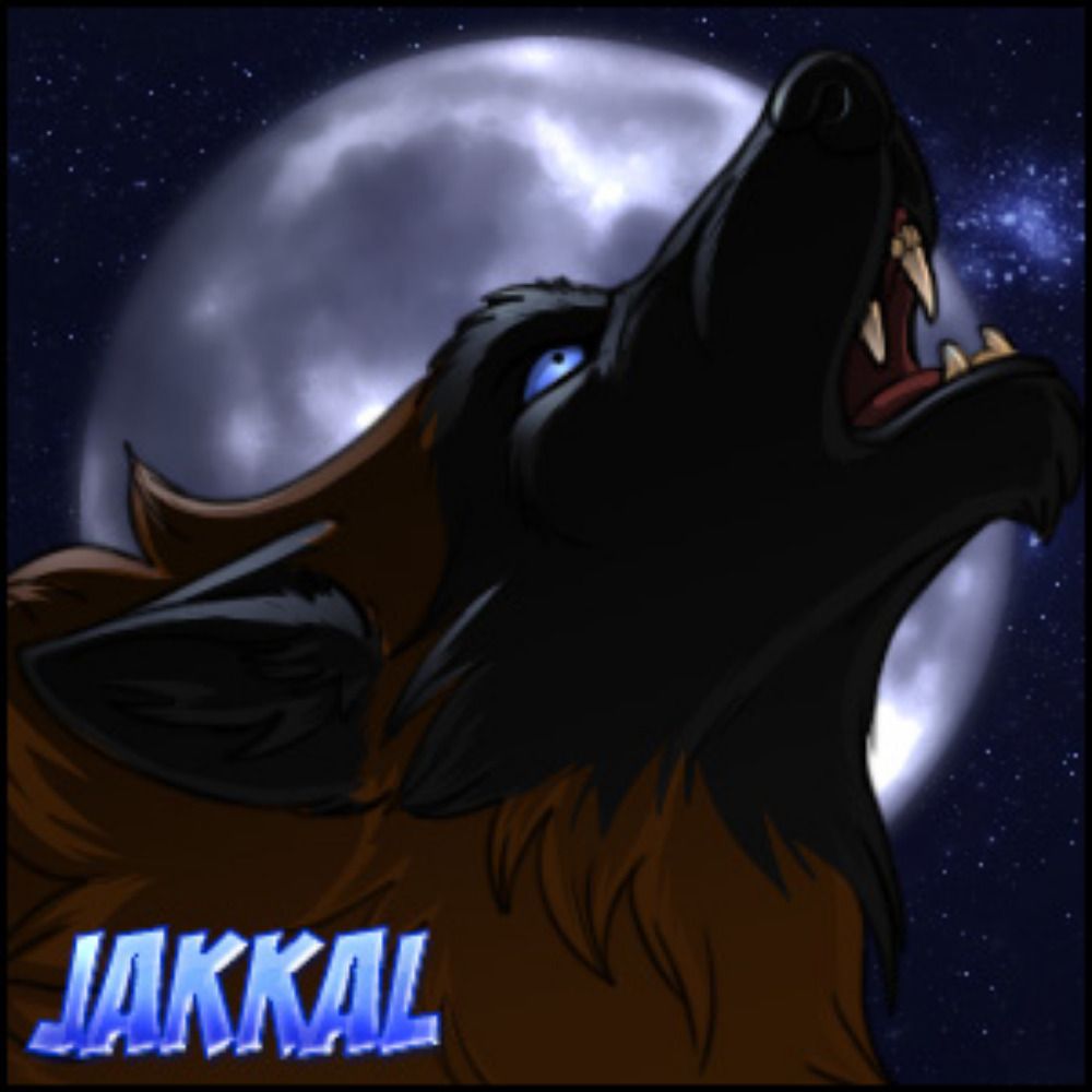 Jakkal's avatar
