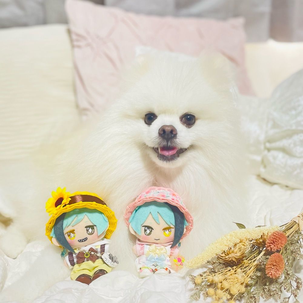 Sieg（ジーク）🐻‍❄️