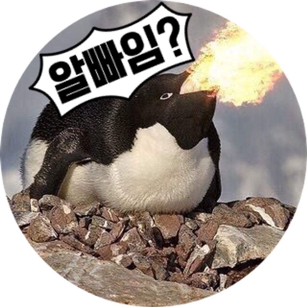 차랏차차