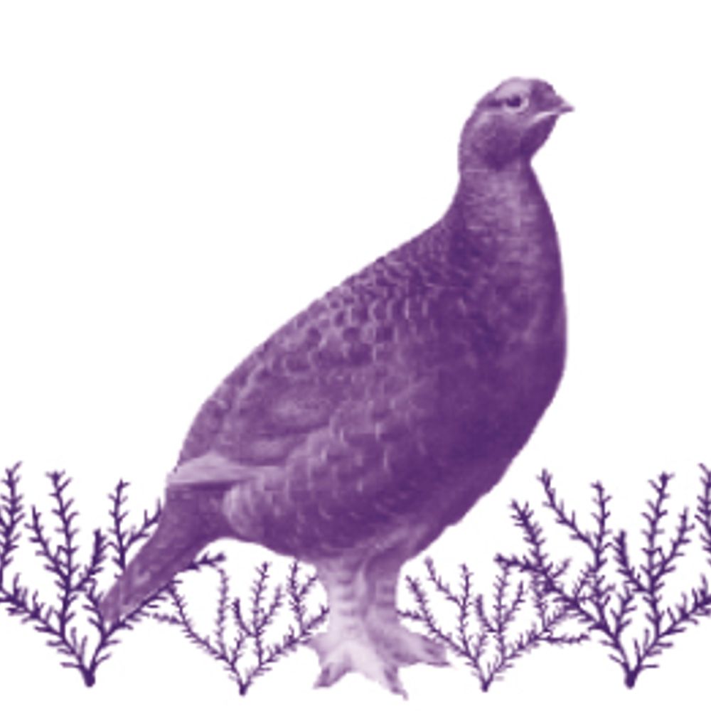 Moorland Association