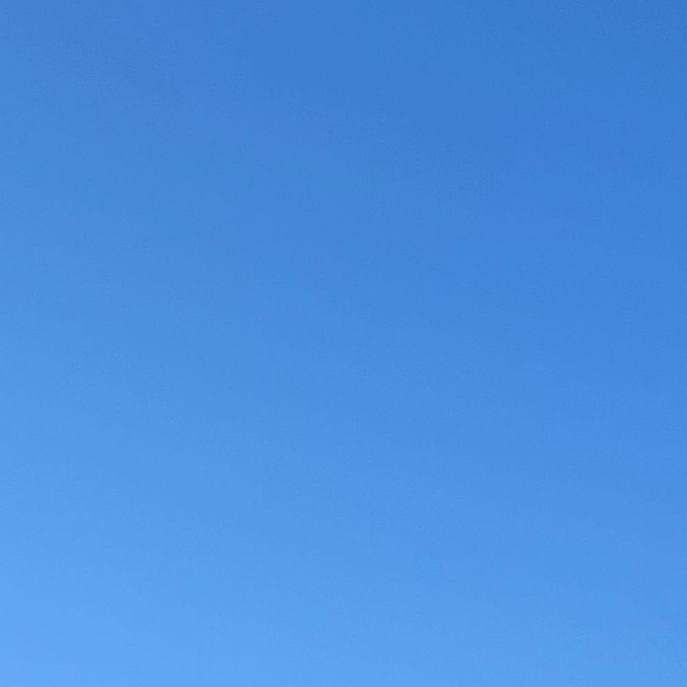 ぽに