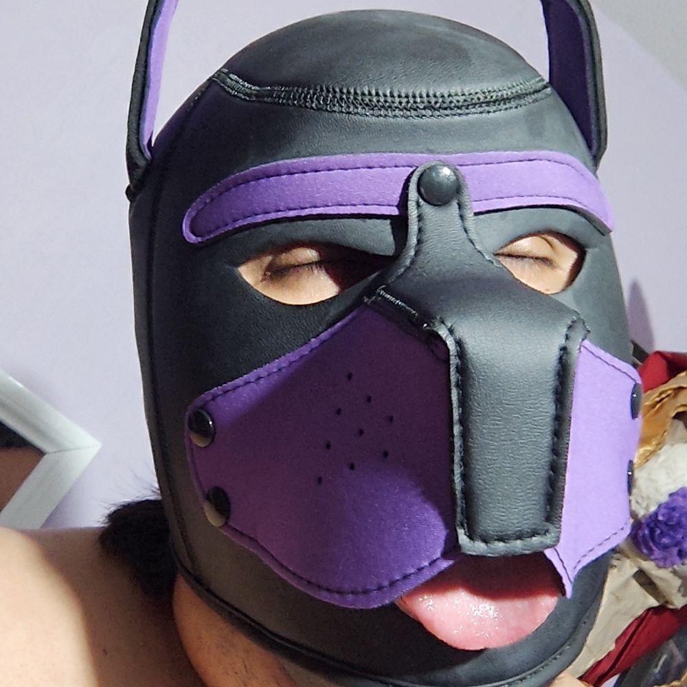 PupTaix