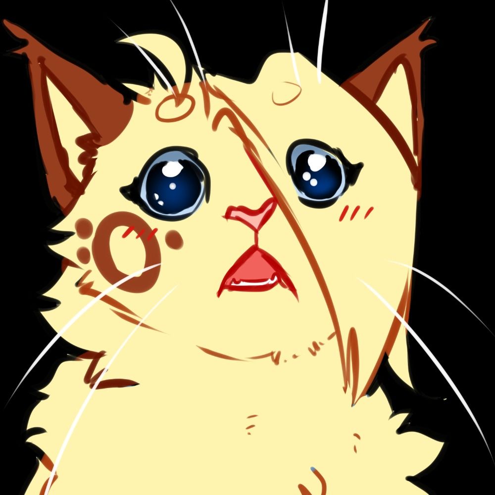 KiraBean
