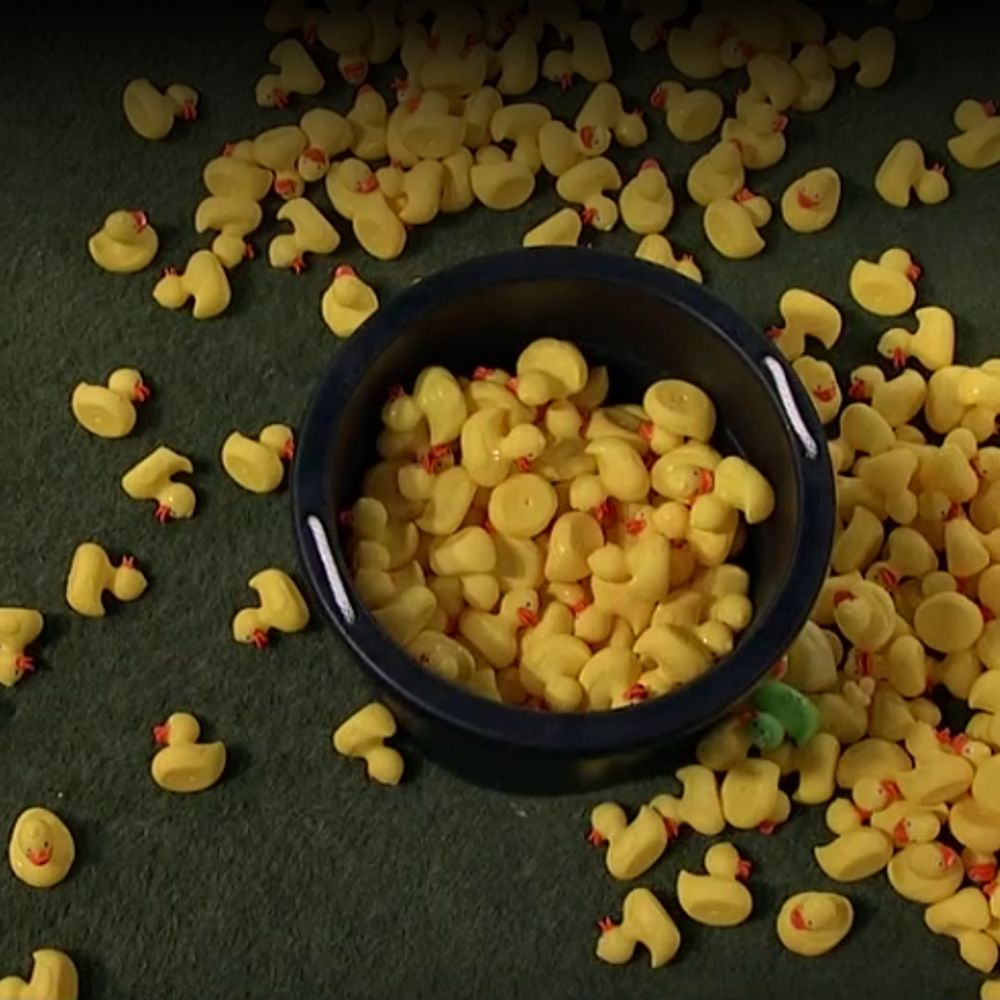 Jacob Pardue: Rubber Ducks are Fun