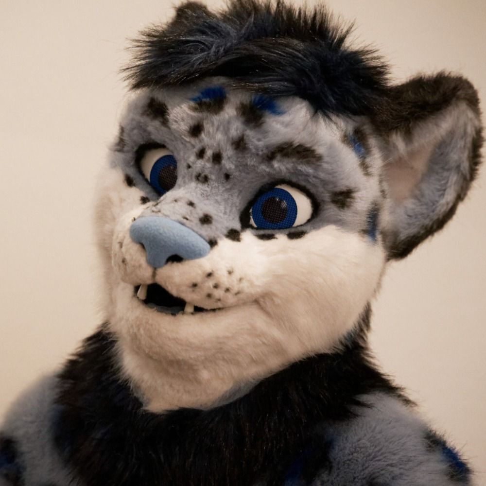 Kimura's Snepshots