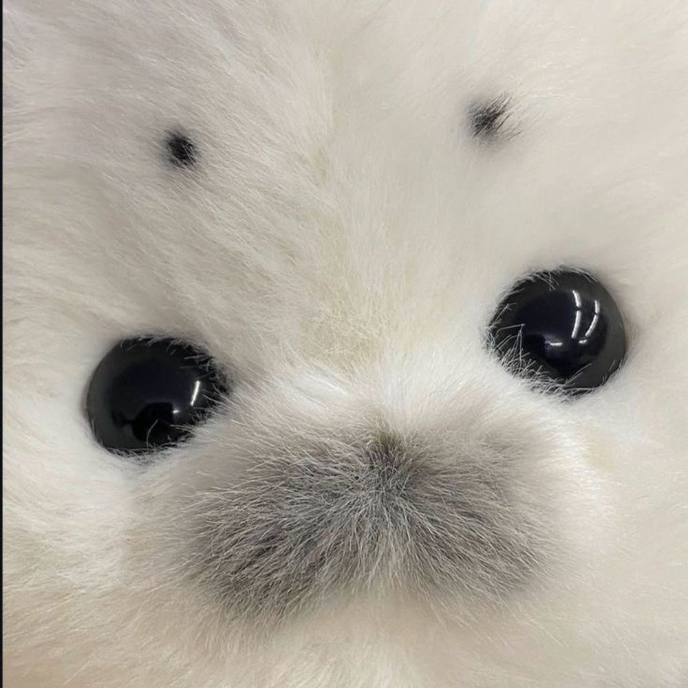 気が早い