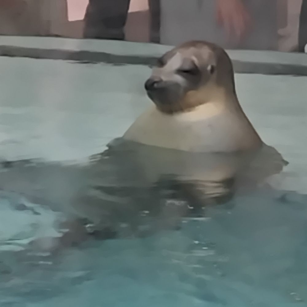 とくらうすいっせい