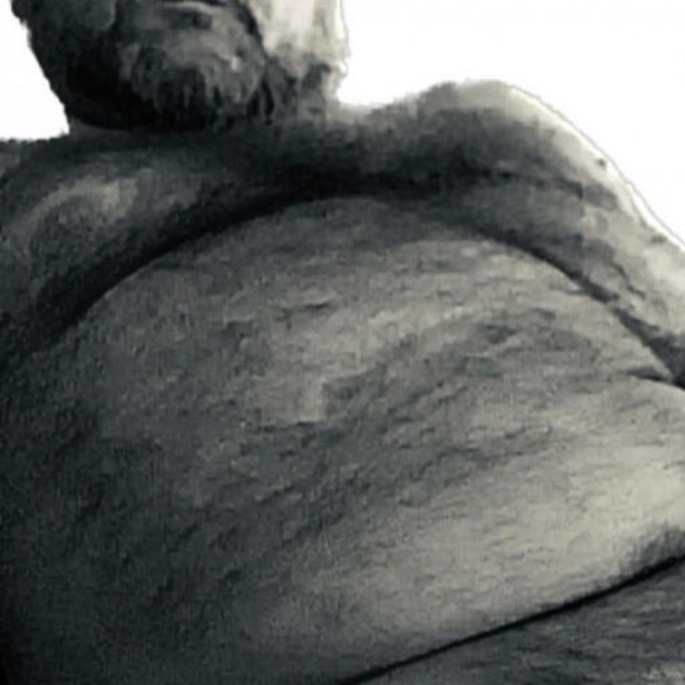 PapaBearJ