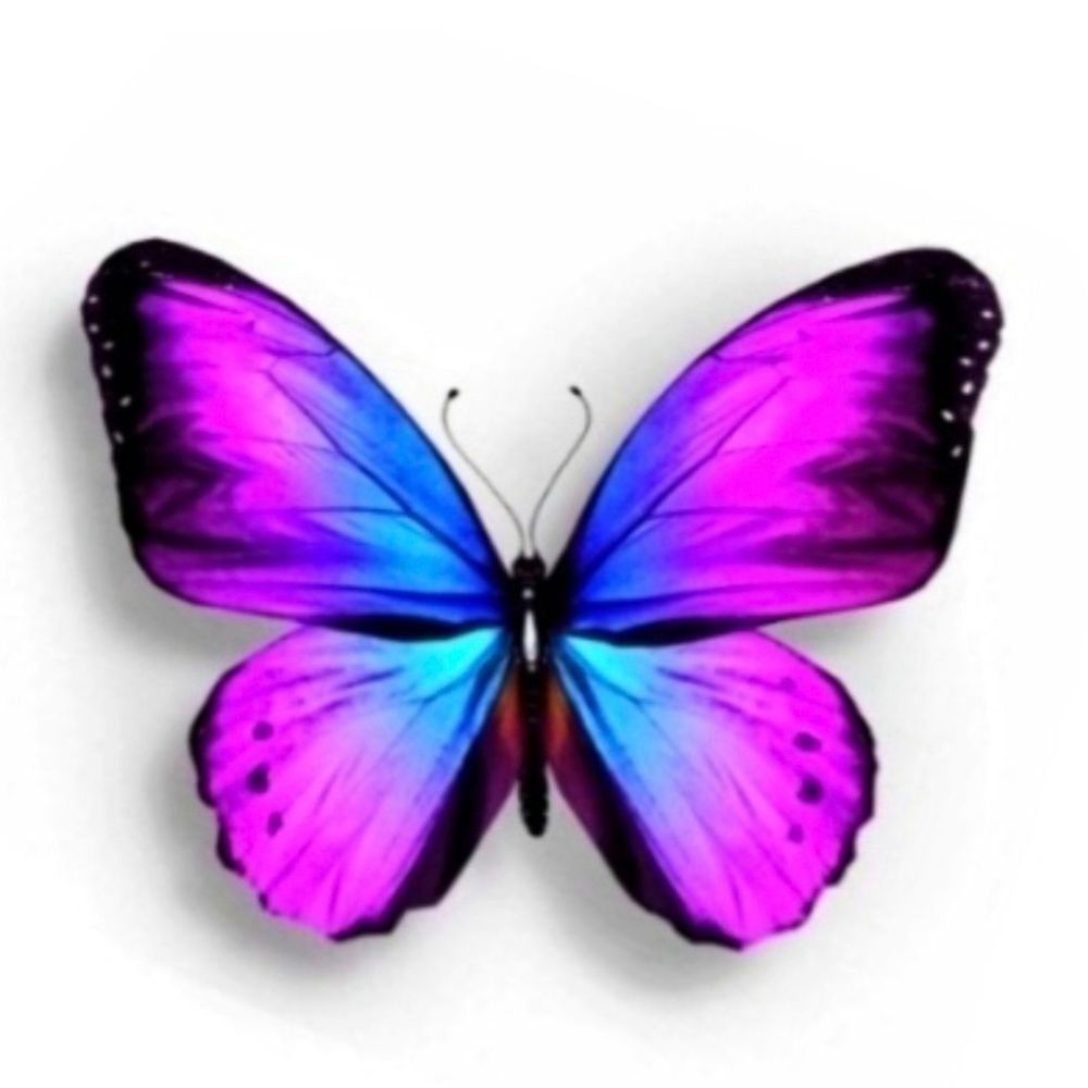 𝕄𝕚𝕟𝕥𝕪𝕞𝕚𝕟𝕩𝕪 🦋
